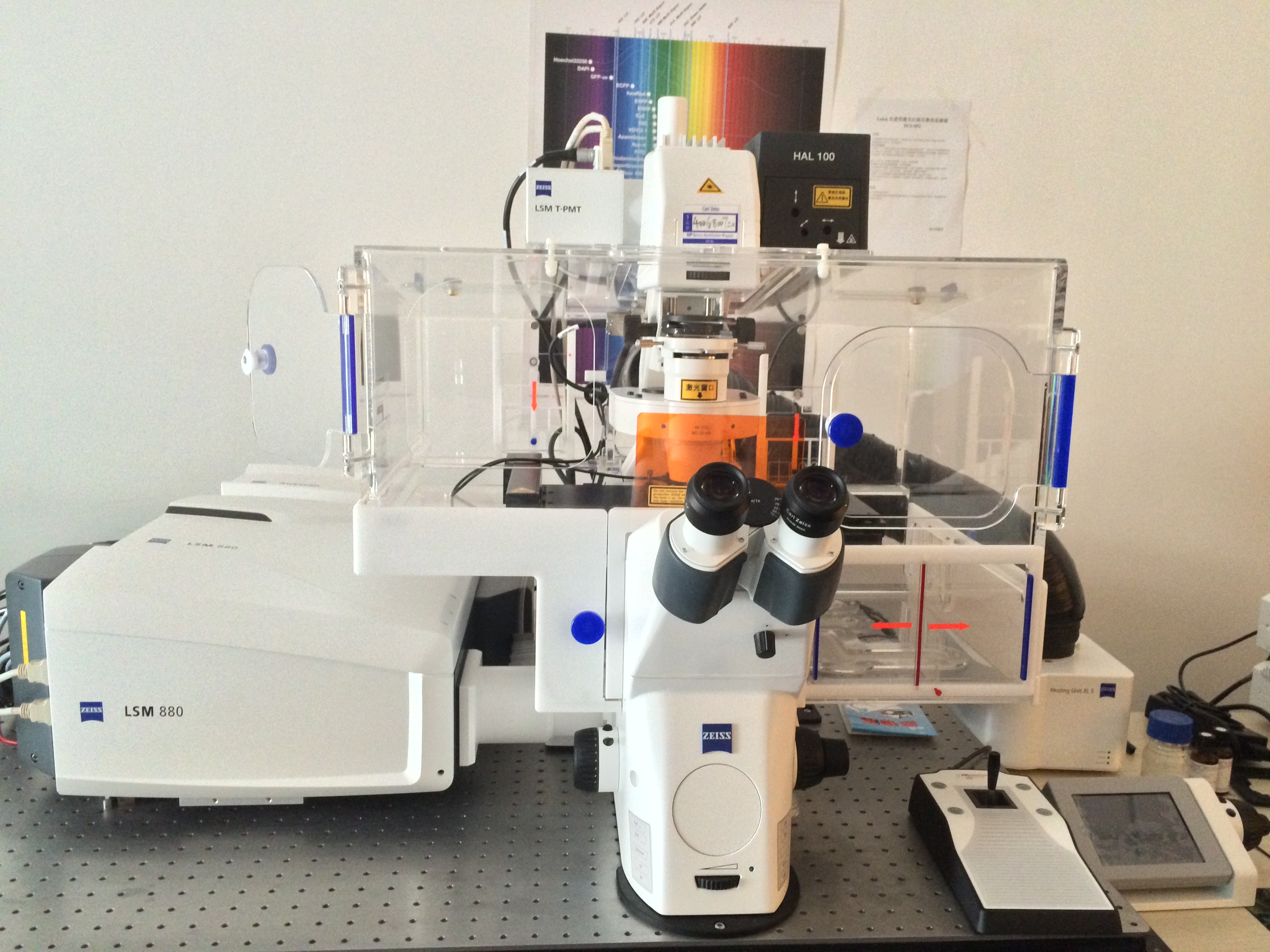 Carl Zeiss蔡司激光共聚焦显微镜880(双系统激光共聚焦扫描显微镜)