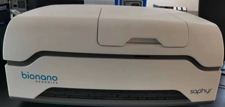 基因组光学图谱工作站